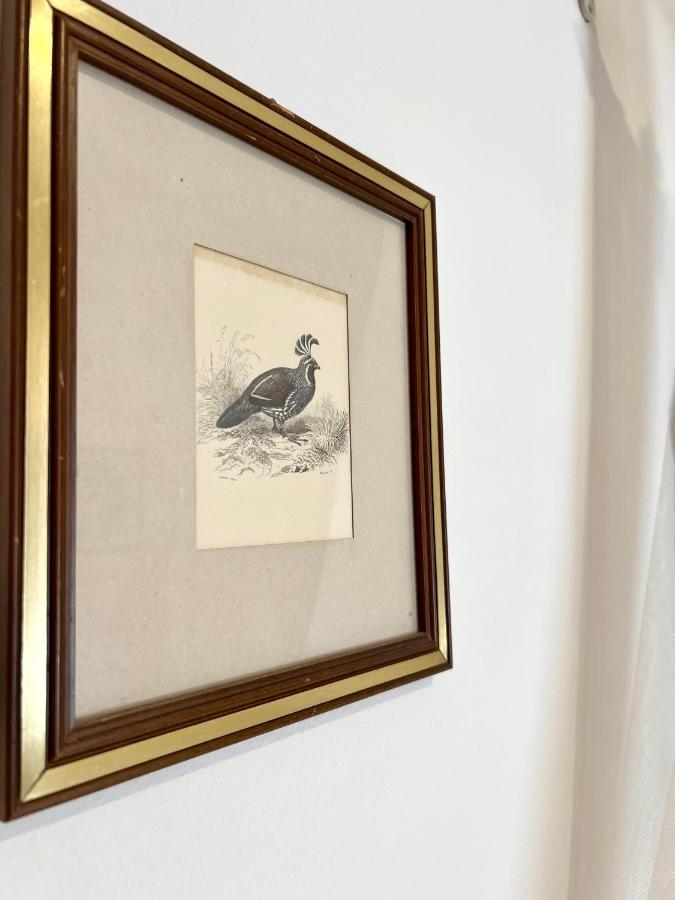 Hotel Piccolo Etruria 2*